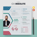 modèle cv insolite