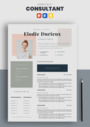 cv de consultant