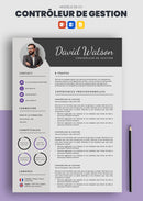 cv contrôleur de gestion exemple