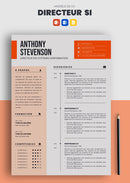 cv dsi informatique