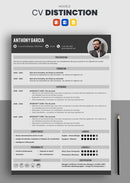 cv distinction gris