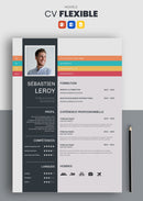 cv flexible gris