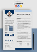 cv livreur exemple