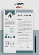 cv livreur