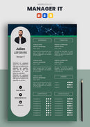 cv manager it