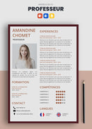 cv professeur