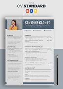 cv standard gris