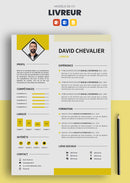 exemple cv livreur