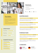 modèle cv chargé de communication