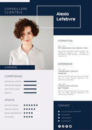 modèle cv conseiller clientèle