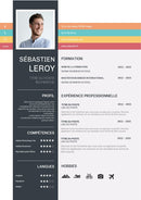 cv flexible