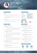 cv payant