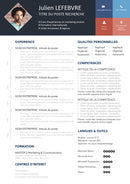 cv web