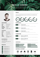 modèle cv designer