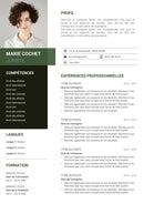 modele cv juriste