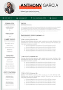 modèle cv manager
