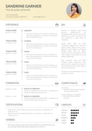 cv chronologique