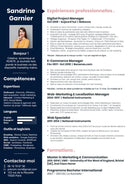 cv internet