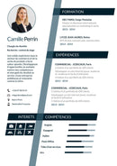 cv convaincant