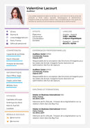 cv couleur