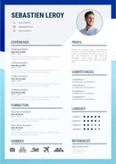 cv fantaisie