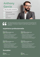 cv homme