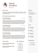 modele cv serveur