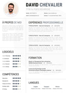 cv gratuit intérim