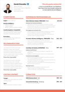 cv détaillé