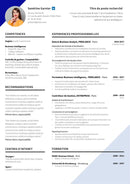 cv minimaliste