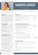 cv standard