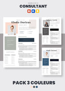 pack cv consultant
