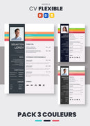 Pack cv flexible