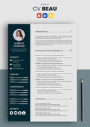 curriculum vitae beau bleu