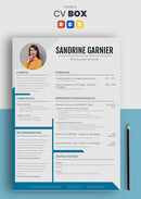 curriculum vitae box bleu