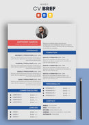 curriculum vitae gratuit simple