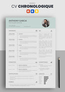 curriculum vitae chronologique bleu pastel
