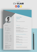 curriculum vitae clair bleu pastel