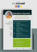 curriculum vitae coloré vert