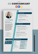 curriculum vitae convaincant bleu