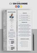 curriculum vitae en 2 colonnes avec fond