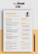 curriculum vitae épuré jaune