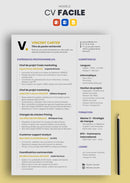 curriculum vitae facile jaune