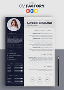 curriculum vitae factory gris