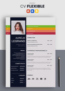 curriculum vitae flexible bleu