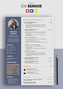 curriculum vitae senior violet