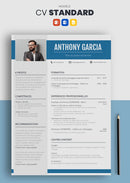 curriculum vitae standard bleu