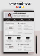 curriculum vitae synthétique marron