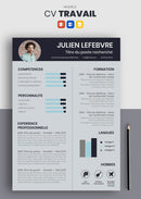 curriculum vitae travail gris