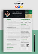 curriculum vitae web vert